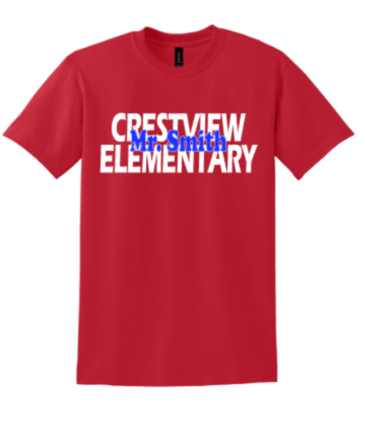 Custom Teacher School Shirts