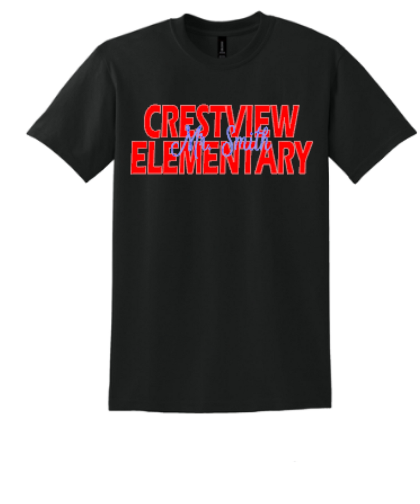 Custom Teacher School Shirts