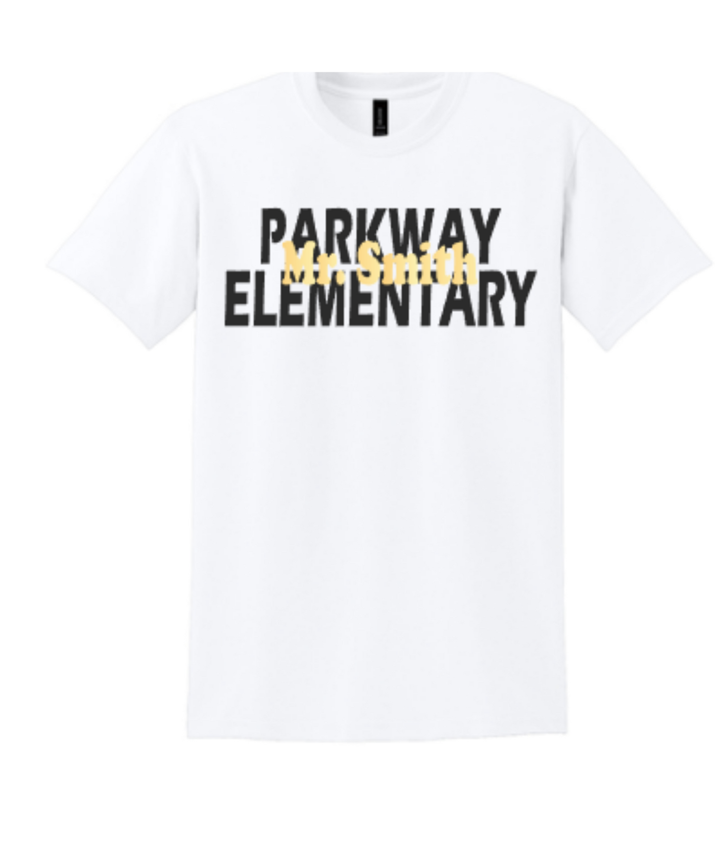 Custom Teacher School Shirts