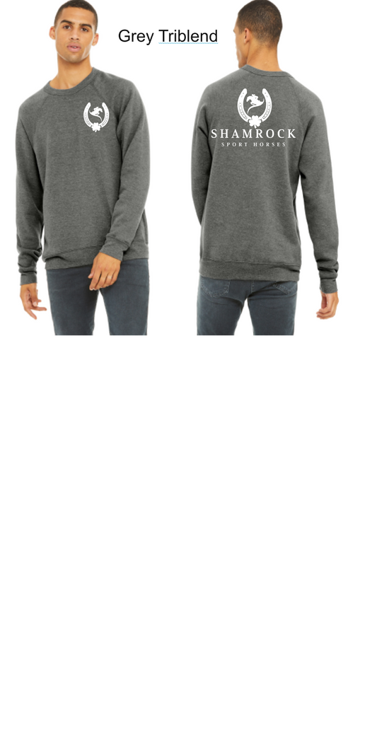 BELLA+CANVAS Unisex Sponge Fleece Raglan Sweatshirt--BC3901