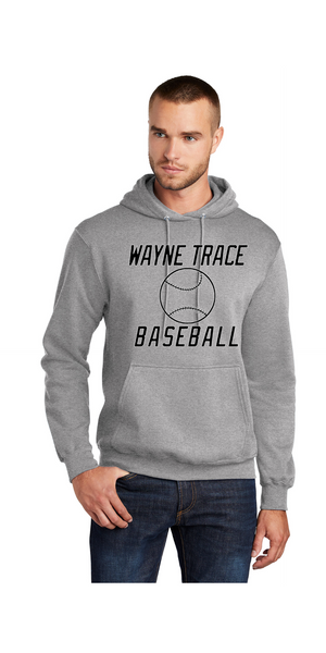 Wayne Trace Baseball 2024